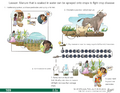 Thumbnail for version as of 14:40, 15 April 2026