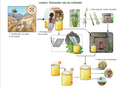 Thumbnail for version as of 15:17, 15 April 2026