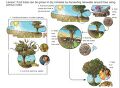 Thumbnail for version as of 21:03, 10 April 2026