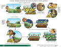 Thumbnail for version as of 14:43, 15 April 2026
