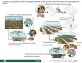 Thumbnail for version as of 14:42, 15 April 2026