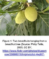 Thumbnail for version as of 10:21, 11 July 2026