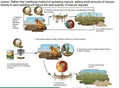 Thumbnail for version as of 15:17, 15 April 2026