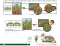 Thumbnail for version as of 21:01, 10 April 2026