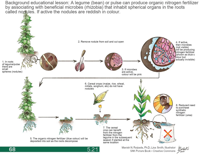File:1552px-5.21 page-0001.webp