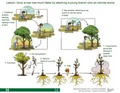 Thumbnail for version as of 14:41, 15 April 2026