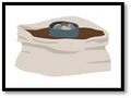 Thumbnail for version as of 21:02, 10 April 2026